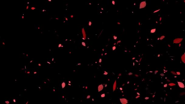 Tote Blätter Rote Blätter Herbstblätter Herbstliche Partikel Die Bewegungsgrafik Entstehen — Stockvideo