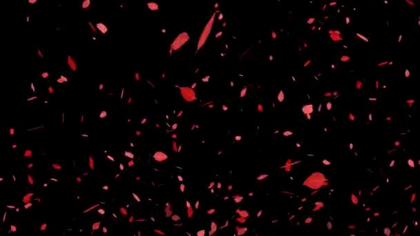 Мертве Листя Червоне Листя Осіннє Листя Осінні Частинки Виходять Графіки — стокове відео