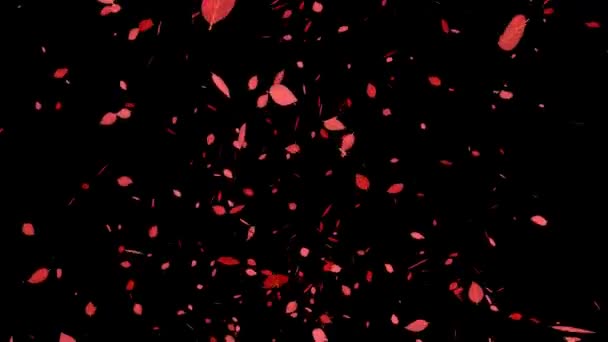 Ölü Yapraklar Kırmızı Sonbahar Yaprakları Hareket Eden Sonbahar Parçacıkları — Stok video