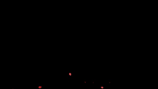 Мертве Листя Червоне Листя Осіннє Листя Осінні Частинки Виходять Графіки — стокове відео
