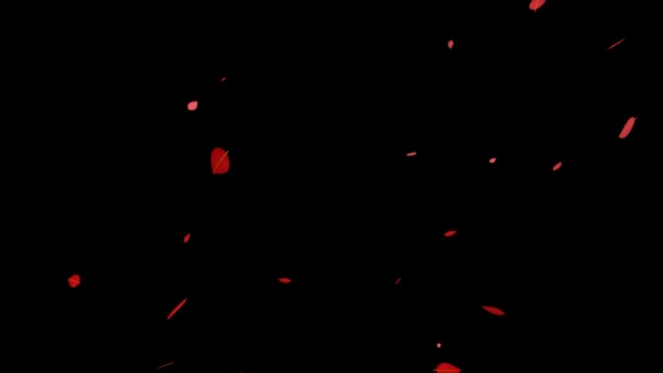 Foglie Morte Foglie Rosse Foglie Autunnali Particelle Autunnali Che Emergono — Video Stock