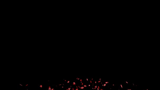 Feuilles Mortes Feuilles Rouges Feuilles Automne Particules Automne Qui Émergent — Video