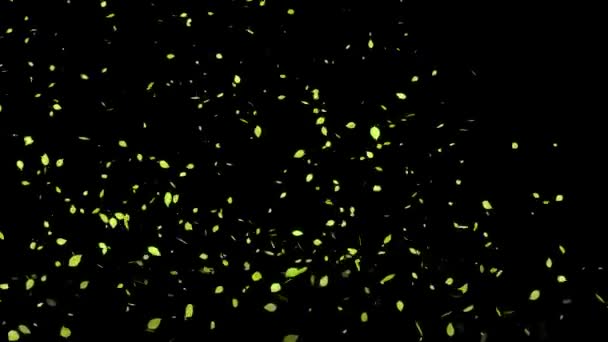 Жовте Мертве Листя Осіннє Листя Осінь Частинки Виникають Графіка Руху — стокове відео