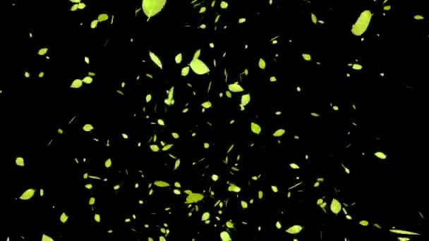 Yellow Dead Leaves Autumn Leaves Autumn Particles Emerge Motion Graphics — Stock Video