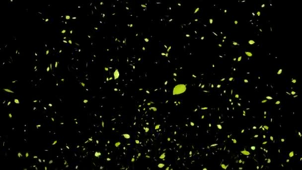 黄色の枯葉 秋の葉 出現する粒子 モーショングラフィックス — ストック動画