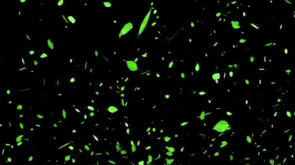 Green Leaves Fresh Green Emerging Particles Motion Graphics — Stock Video