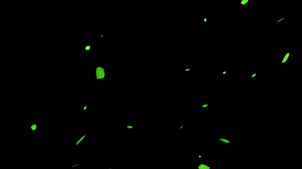 Gröna Blad Färska Gröna Framväxande Partiklar Rörelse Grafik — Stockvideo