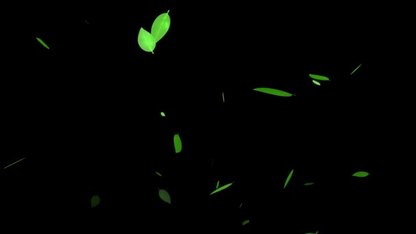 Πράσινο Αφήνει Φρέσκα Πράσινα Αναδυόμενα Γραφικά Κίνησης Σωματιδίων — Αρχείο Βίντεο