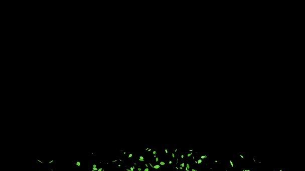 Зеленые Листья Свежие Зеленые Возникающие Частицы Движения Графики — стоковое видео