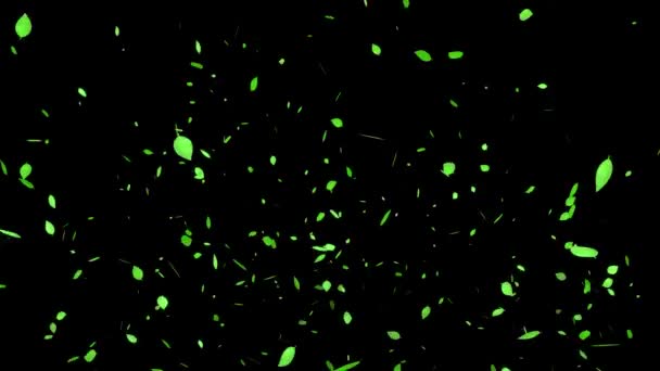Green Leaves Fresh Green Emerging Particles Motion Graphics — Stock Video