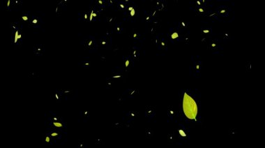 Düşen parçacıkların hareket grafiklerini bırakır