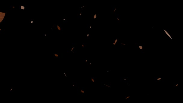 Blätter Fallende Teilchen Bewegungsgrafik — Stockvideo