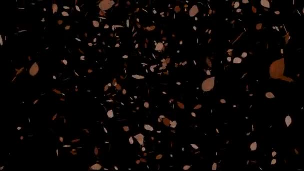 Leaves Falling Particles Motion Graphics — Stock Video