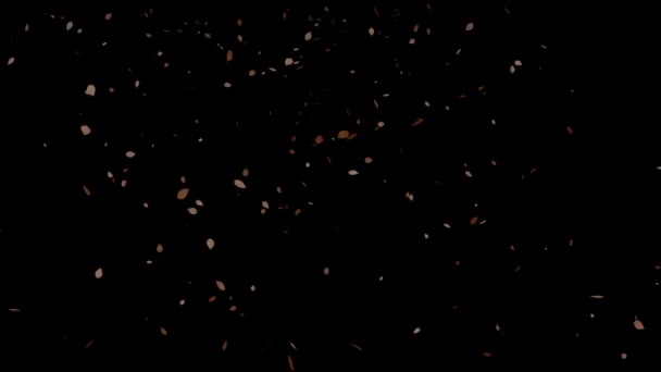 落叶粒子运动图形 — 图库视频影像