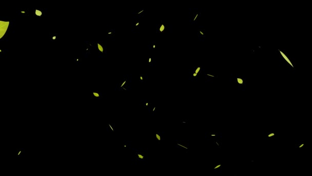 落ち葉粒子運動グラフィックス — ストック動画