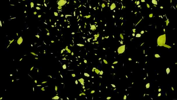 Leaves Falling Particles Motion Graphics — Stock Video