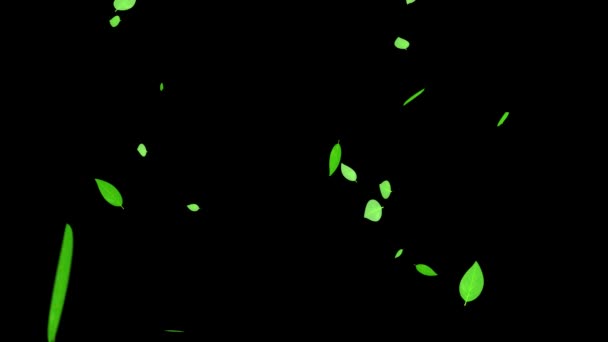 Leaves Falling Particles Motion Graphics — Stock Video