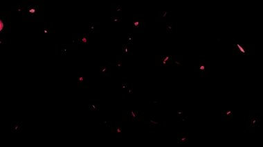 Gül yaprakları parçacıkların hareket grafiklerine düşüyor