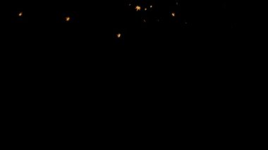 Akçaağaç sonbahar yaprakları, ölü yapraklar, düşen yapraklar, hareket grafikleri