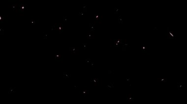 Parçacık hareketi grafiklerinden dökülen kiraz çiçekleri