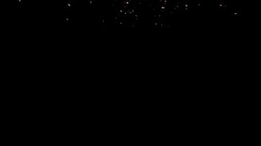 Parçacık hareketi grafiklerinden dökülen kiraz çiçekleri