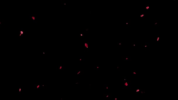 Pétalos Rosa Elevan Gráficos Movimiento Partículas — Vídeos de Stock