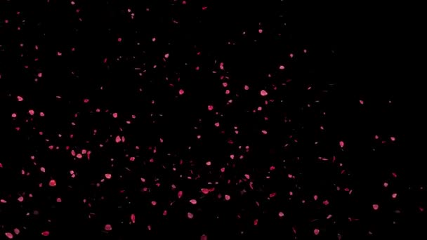 Pétalas Rosa Voam Gráficos Movimento Partículas — Vídeo de Stock