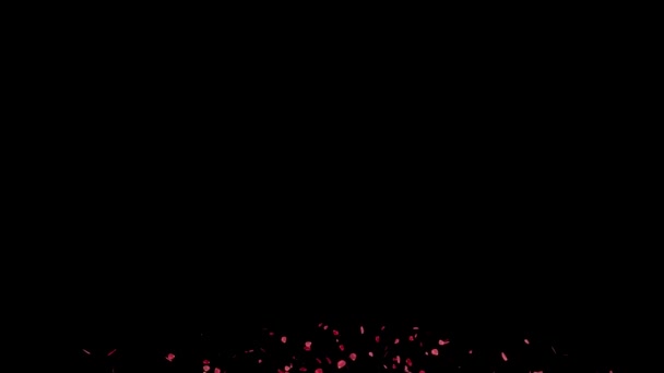 Rose Petals Soar Particle Motion Graphics — Stock Video