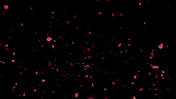 Pétalos Rosa Elevan Gráficos Movimiento Partículas — Vídeo de stock