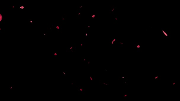 Rosenblätter Fallen Herunter Teilchen Bewegungsgrafik — Stockvideo