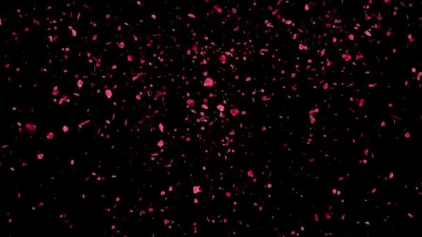 Pétalos Rosa Cayendo Partículas Gráficos Movimiento — Vídeo de stock