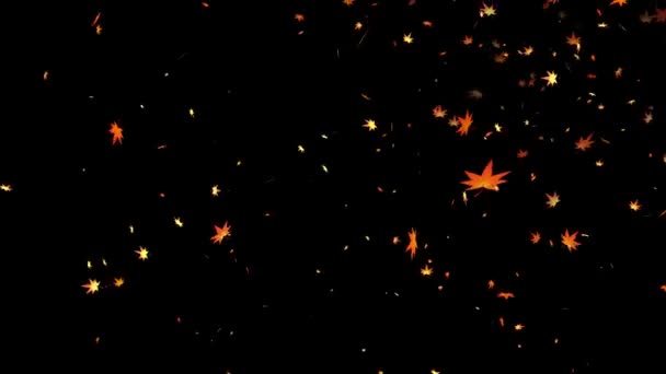 Кленовые Осенние Листья Опавшие Листья Падающие Листья Графика Движения — стоковое видео