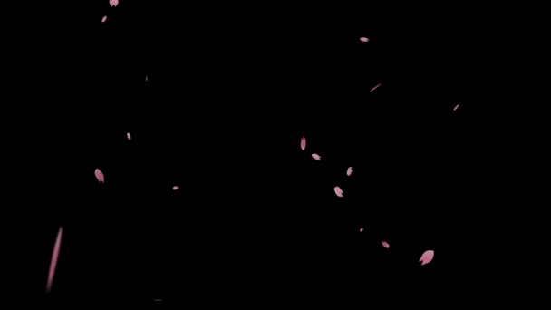 Kirschblütenblätter Fallen Herunter Partikelbewegungsgrafik — Stockvideo