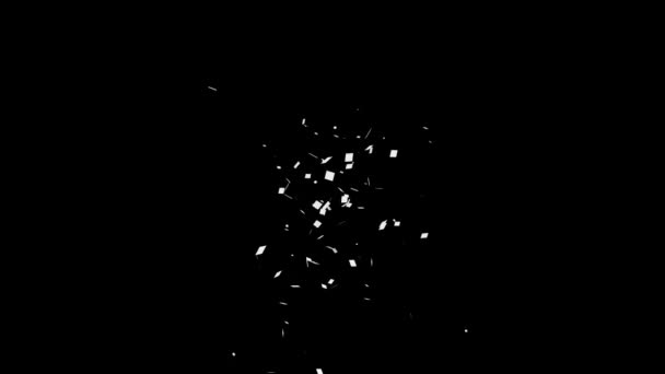 Cracker Launch Confetti Particle Animation Motion Graphics — Stock Video