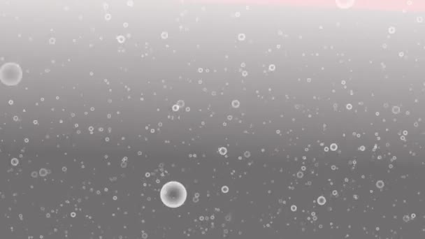 Bubble Carbonated Background Particle Motion Graphics — Stock Video