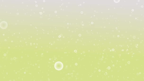 Bubble Carbonated Background Particle Motion Graphics — Stock Video