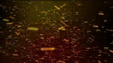 Siyah arkaplan parçacık döngüsü canlandırmasına neden olur