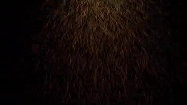 Kıvılcım Siyah Arkaplan Parçacık Döngüsü Canlandırması — Stok video