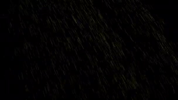 Vonk Zwarte Achtergrond Deeltjeslus Animatie — Stockvideo