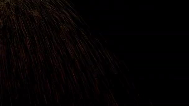 Kıvılcım Siyah Arkaplan Parçacık Döngüsü Canlandırması — Stok video