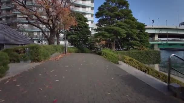 Tokyo Chuo Ward Cycling Winter — Stock Video