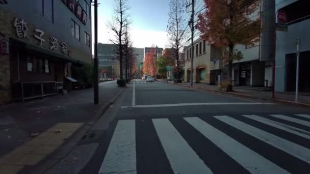 Tokyo Inverno Ciclismo Video Clip — Video Stock