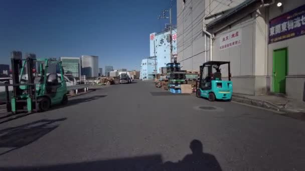 Tóquio Ciclismo Inverno Videoclipe — Vídeo de Stock
