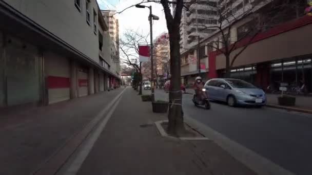 Tokyo Winter Cykling Videoklipp — Stockvideo