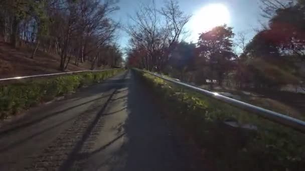 Tokyo Edogawa Ward Cykling Vinter — Stockvideo