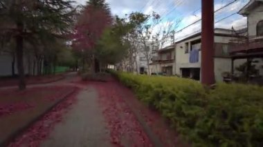 Tokyo Edogawa Koğuşu Bisiklet Kışları