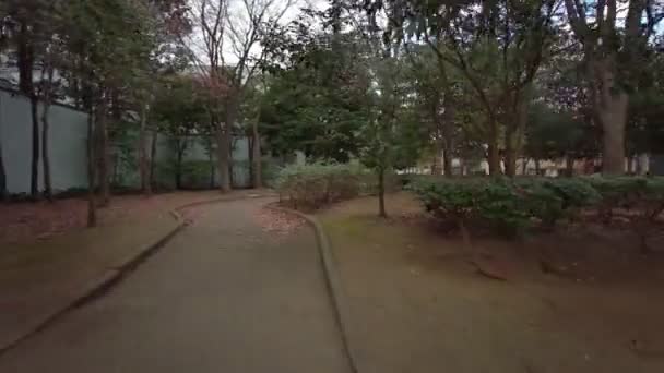 Tokio Edogawa Ward Ciclismo Invierno — Vídeo de stock