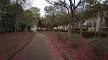 Tokyo Edogawa Koğuşu Bisiklet Kışları