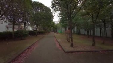 Tokyo Edogawa Koğuşu Bisiklet Kışları