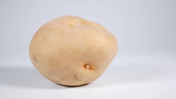 Сира Картопля Короткий Відеокліп — стокове відео